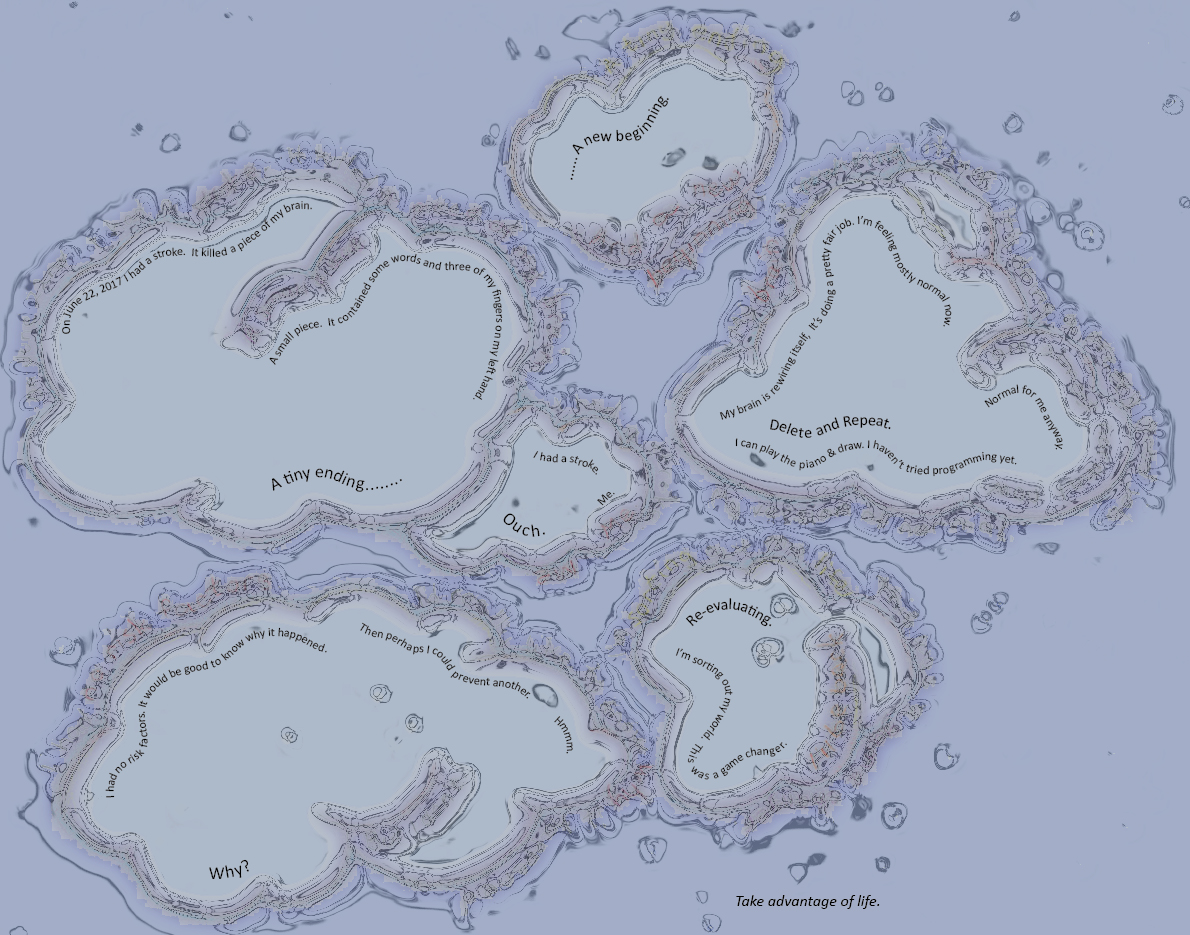 What I did with my summer vacation:  I had a stroke